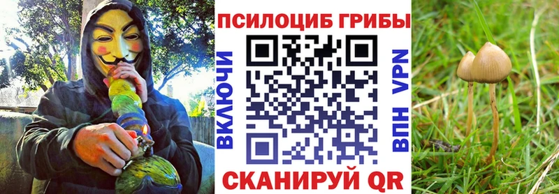 Галлюциногенные грибы MAGIC MUSHROOMS  blacksprut ONION  Хилок  наркотики 